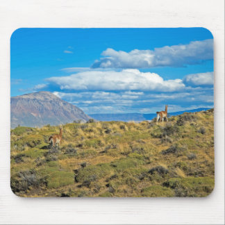 Guanaco Country, Patagonia Mouse Mat