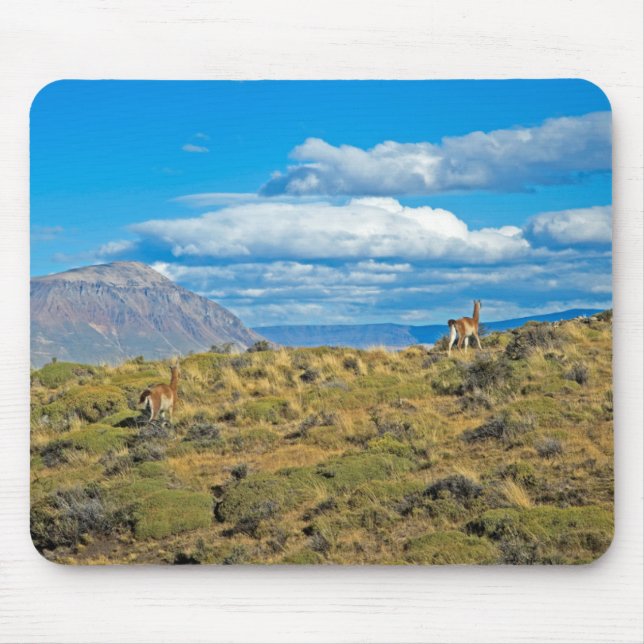 Guanaco Country, Patagonia Mouse Mat (Front)