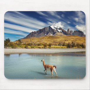 Guanaco crossing the river in Torres del Paine Mouse Mat