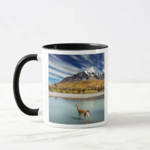 Guanaco crossing the river in Torres del Paine Mug
