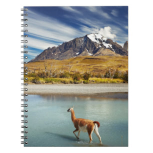 Guanaco crossing the river in Torres del Paine Notebook
