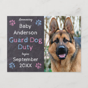 Guard Dog Duty Begins Pregnancy Announcement Postcard
