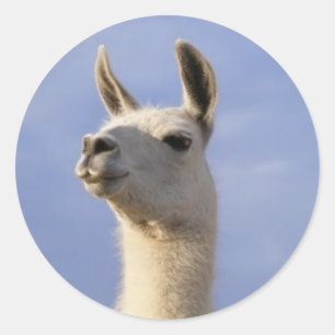 Guard Llama Classic Round Sticker
