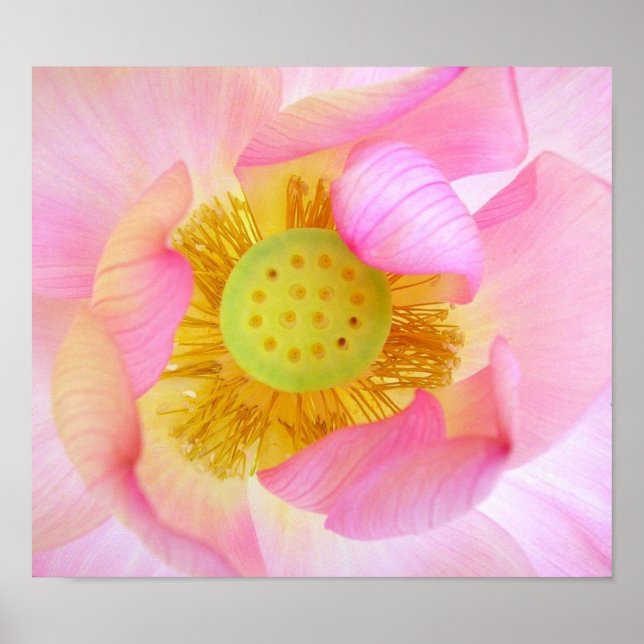 Guarded Gently Poster (Front)