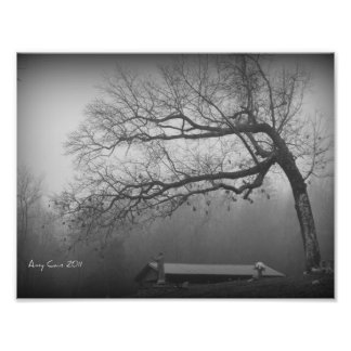 Guardian Photo Print