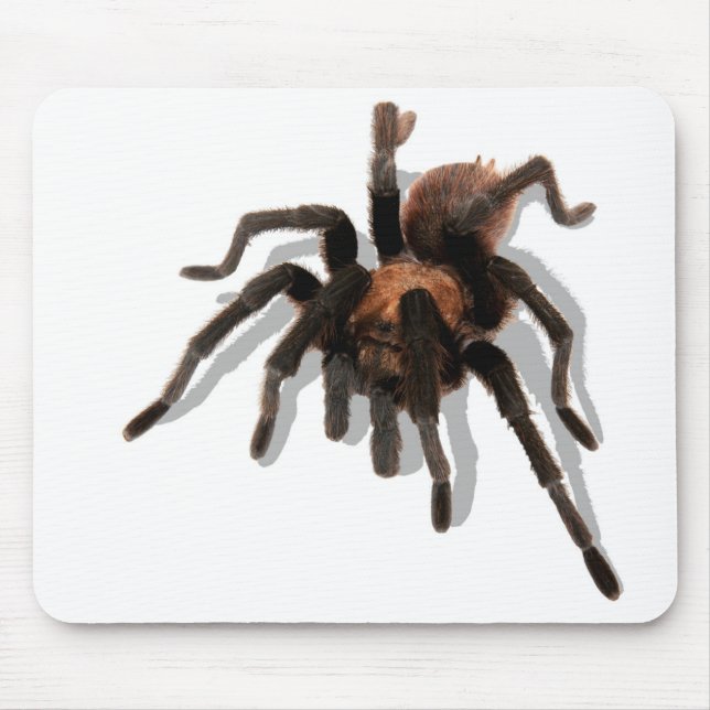 Guardian Tarantula Mouse Mat (Front)