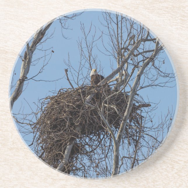 Guarding Eagle Coaster (Front)