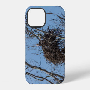 Guarding Eagle iPhone Case