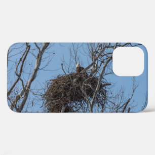 Guarding Eagle iPhone Case