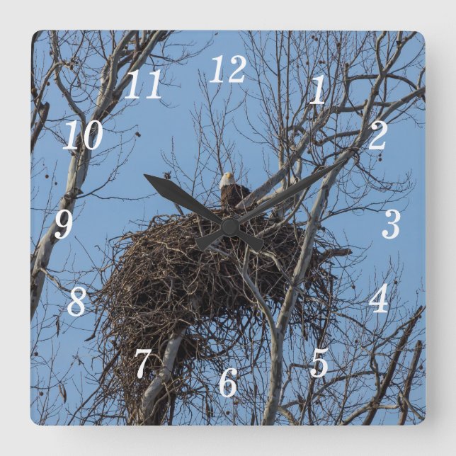 Guarding Eagle Wall Clock (Front)