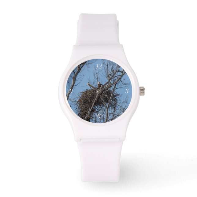 Guarding Eagle Watch (Front)