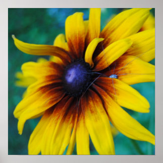 Guarding the Beauty Poster