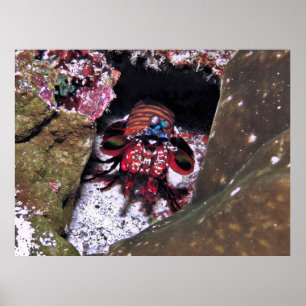 Guarding the Entrance Poster