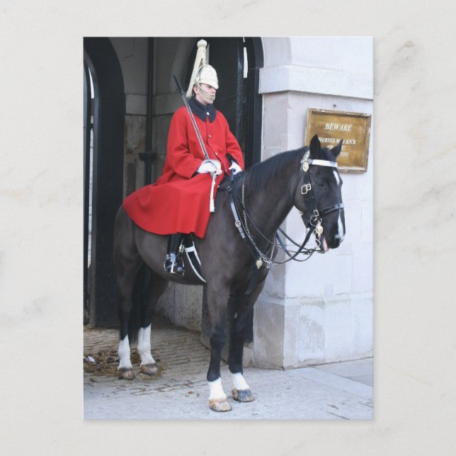 Guardsman, Household Cavalry Postcard (Front)