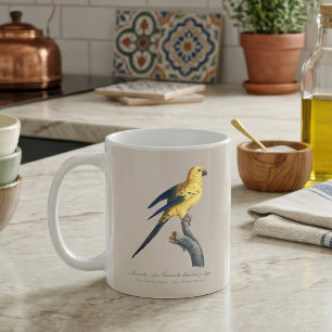Guarouba dans sons jeune age / Sun parakeet  Coffee Mug