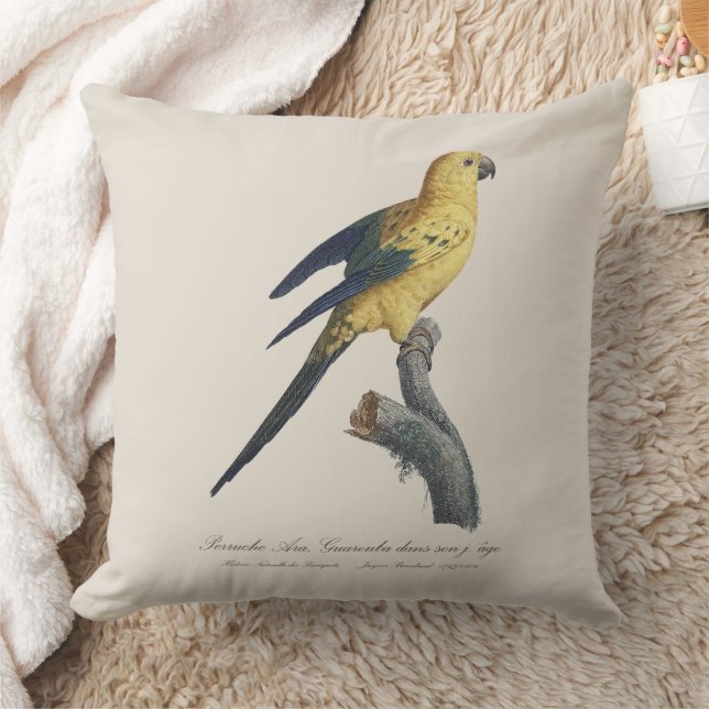 Guarouba dans sons jeune age / Sun parakeet  Cushion (Blanket)
