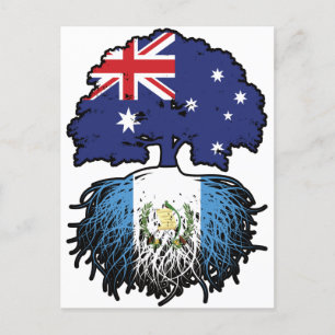 Guatemala Guatemalan Australian Australia Tree Postcard