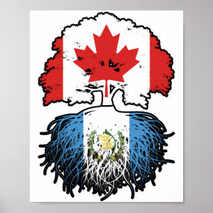 Guatemala Guatemalan Canadian Canada Tree Roots Poster