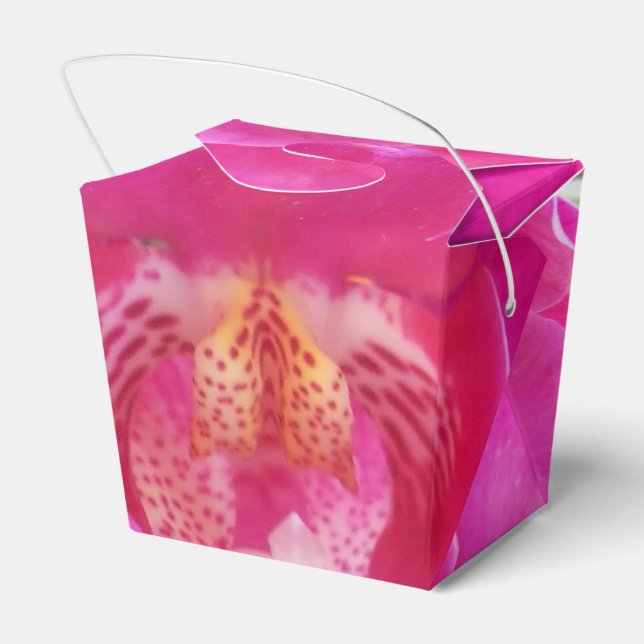 Guda Favour Box (Back Side)