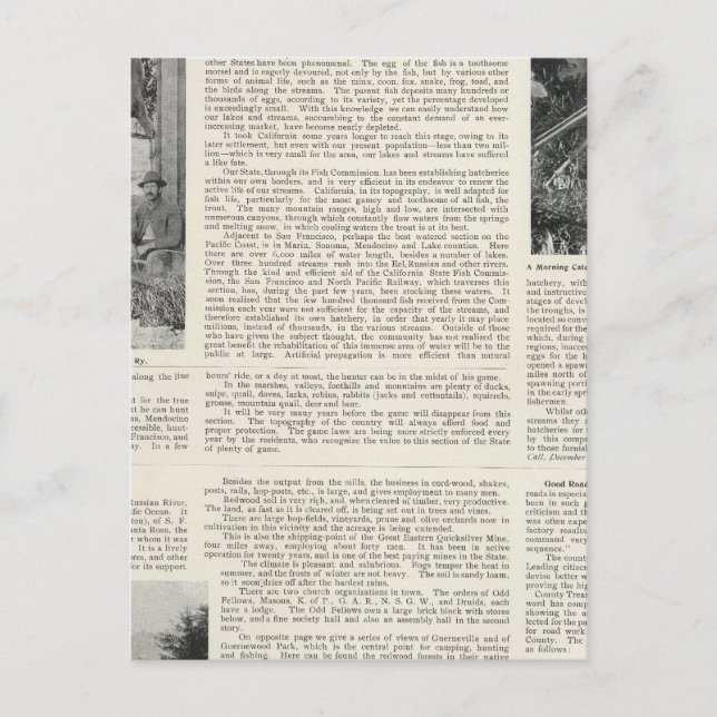 Guerneville, California Postcard (Front)