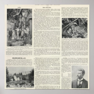 Guerneville, California Poster