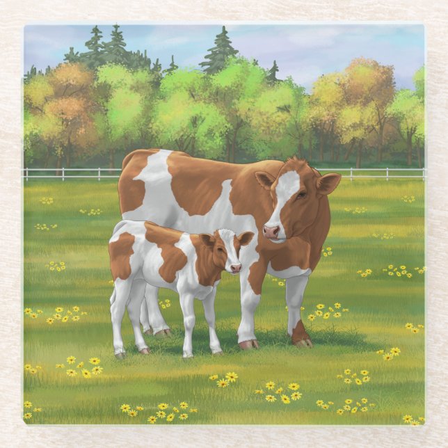 Guernsey Cow & Cute Calf in Summer Pasture Glass Coaster (Front)