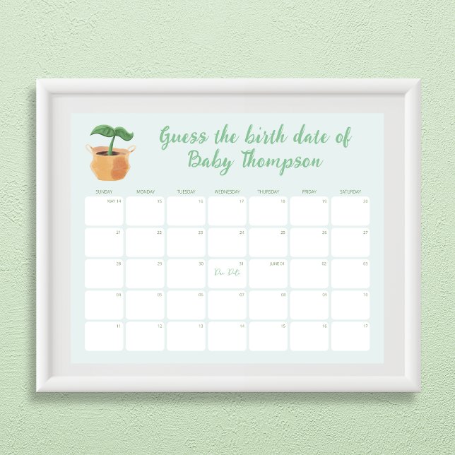 Guess the Birth Date Calendar Little Sprout  Poster (Guess the Birth Date Calendar Little Sprout Poster)