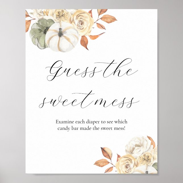 Guess the Sweet Mess Baby Shower Sign (Front)
