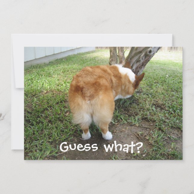 Guess What Corgi Butt Funny Dog Lover Card (Front)
