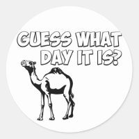 Guess What Day it Is? Hump Day Camel