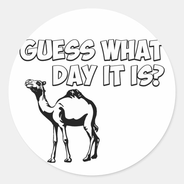 Guess What Day it Is? Hump Day Camel Classic Round Sticker (Front)