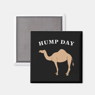 Guess What Day It Is Hump Day Camel Desert Animal Magnet