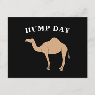 Guess What Day It Is Hump Day Camel Desert Animal Postcard