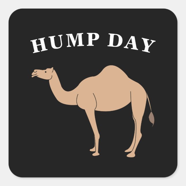 Guess What Day It Is Hump Day Camel Desert Animal Square Sticker (Front)