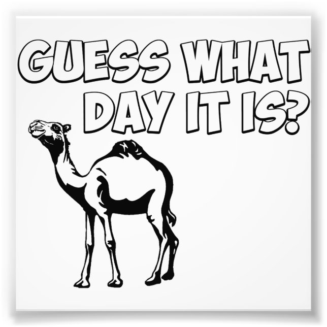 Guess What Day it Is? Hump Day Camel Photo Print (Front)