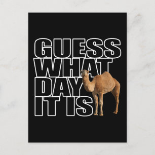 Guess What Day It Is Hump Day Camel Postcard