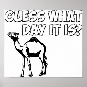 Guess What Day it Is? Hump Day Camel Poster