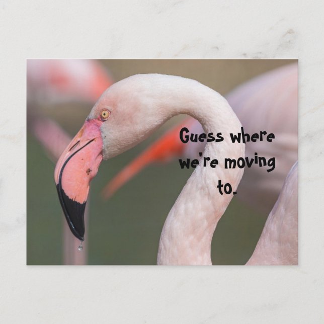 GUESS WHERE RELOCATION CARD (Front)