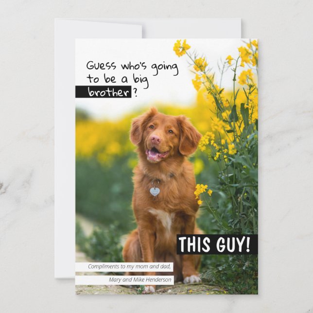 Guess who's going to be a big brother/sister? invitation (Front)