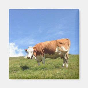 Guest house Fernblick - cow magnet