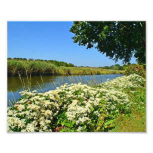 Guilford Marsh Photo Print