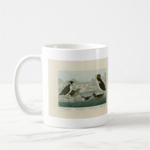 Guillemot and Auks from Audubon's Birds of America Coffee Mug
