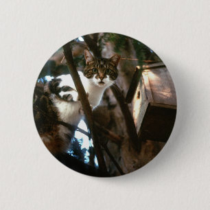 Guilty! 6 Cm Round Badge
