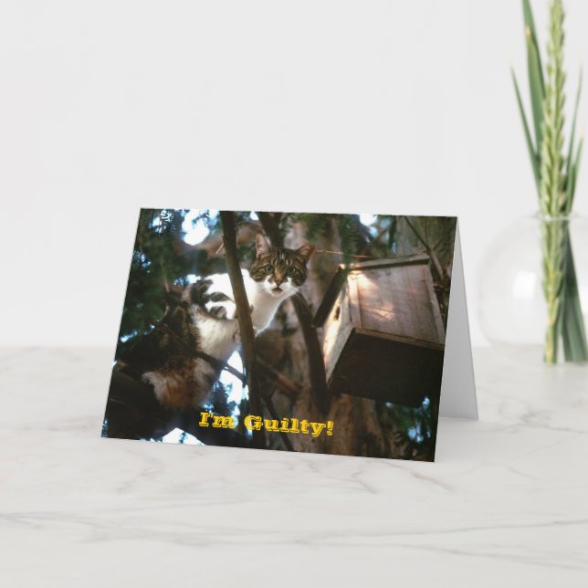 Guilty! Card (Front)