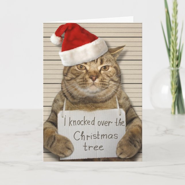 Guilty Cat in Santa hat Christmas Card (Front)