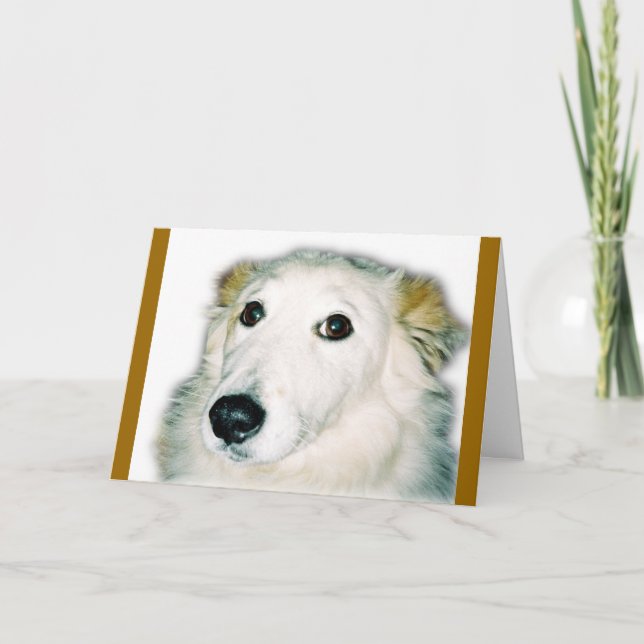 guilty dog card (Front)