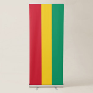 Guinea flag retractable banner