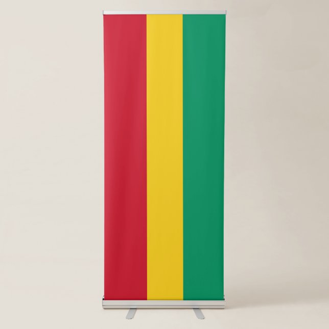 Guinea flag retractable banner (Front)