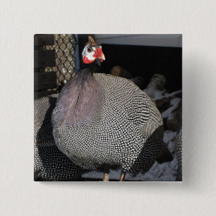 Guinea Fowl 15 Cm Square Badge