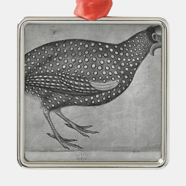 Guinea Fowl, from the The Vallardi Album Metal Tree Decoration (Front)